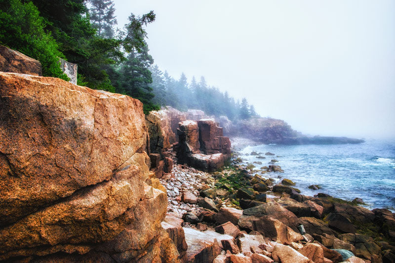 Acadia National Park coast