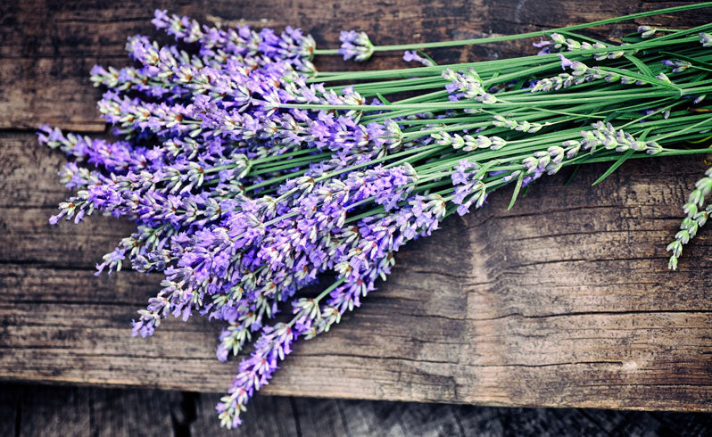 Botanical Approaches to Manage Chronic Stress