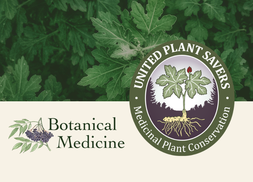 A new chapter for Herbal Educational Services
