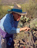 Burgess, Martha