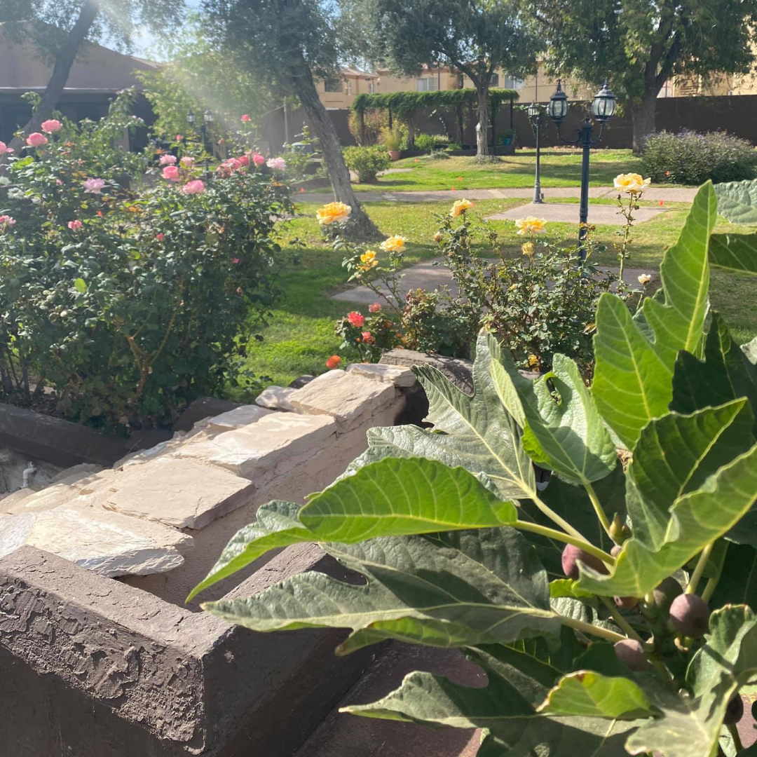 SW26 Friday Hands-On Workshop