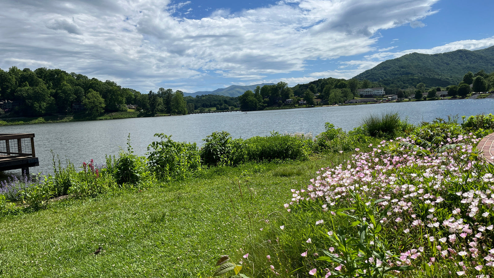 Lakeside scene with grass, flowers, and a bench under a blue sky with clouds.