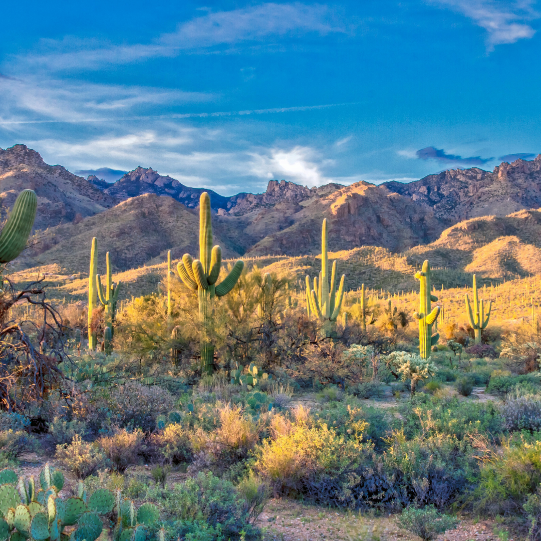 SW26 Event Registration