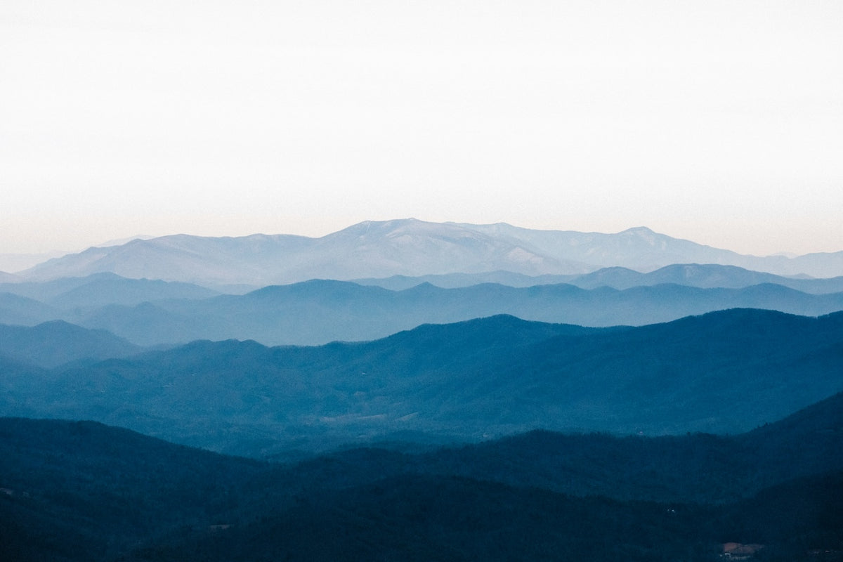 ME26 - Appalachian Folk Medicine and Magic Walk with Rebecca Beyer (Friday, 9:00 AM - 1:00 PM)