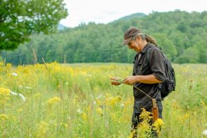 Field Study with 7Song