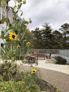 UNC Asheville Apartments - Outdoor Seating