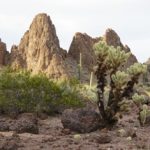 Field Studies in the desert landscape (pictured) round out the Southwest herbal conference program