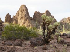 Desert Landscape