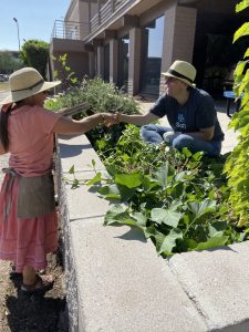 Herbalists working in the SCNM Herb Garden