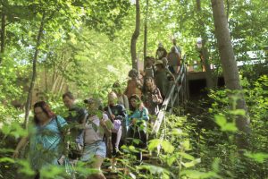 Herb walk in Asheville -- 2023 Medicines from the Earth