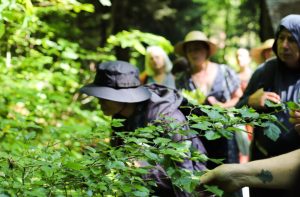 Herb walk at 2023 Symposium