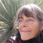 Mimi Kamp, botanical healer and illustrator