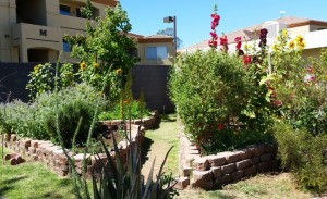 SCNMgardens1