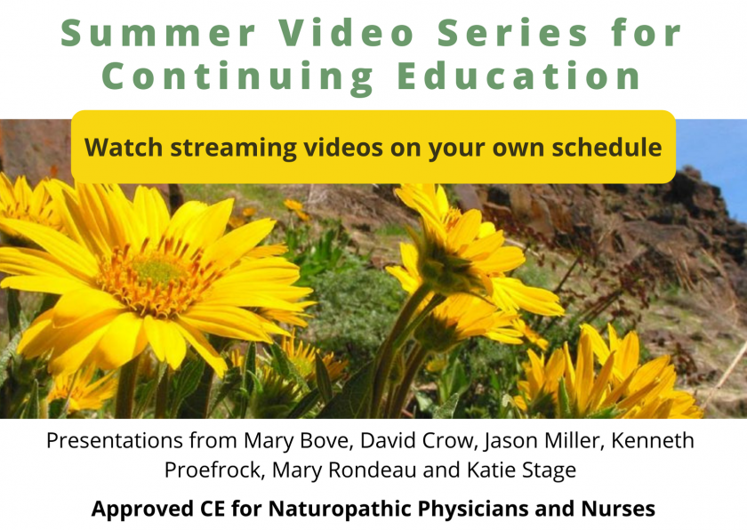 2020 Summer Video Series - Graphic for Streaming Videos