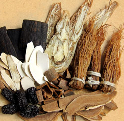 Chinese Medicine TCM