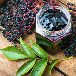 elderberry