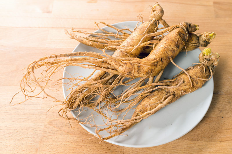 ginseng for healthy aging