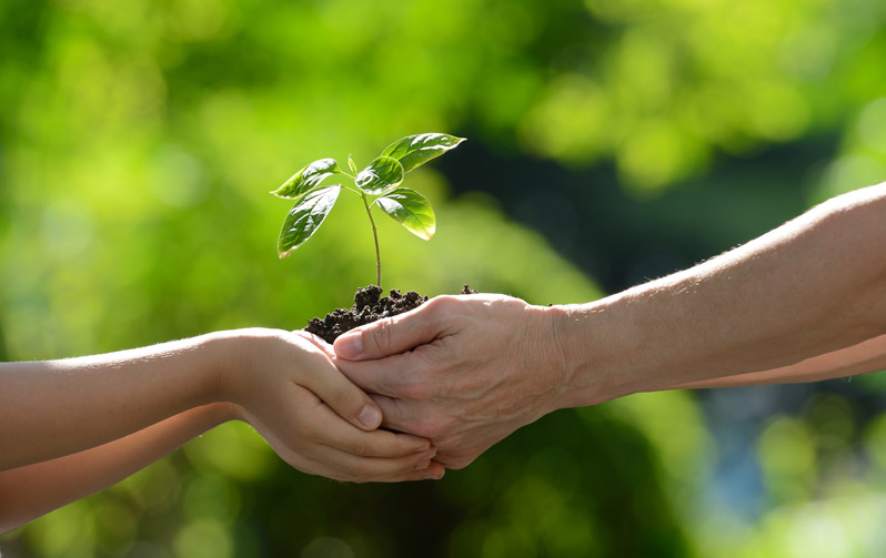 giving botanical medicine 2022