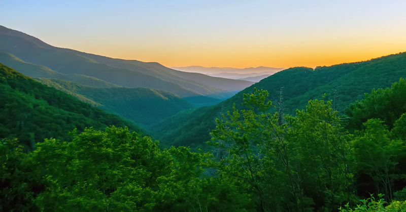 herbal conference in the Blue Ridge Mountains