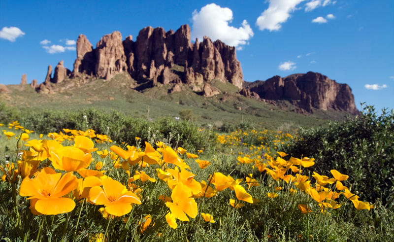 Desert southwest