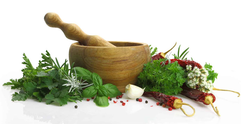 naturopathic approaches to weight management