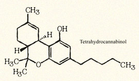 tetrahydrocannabinol