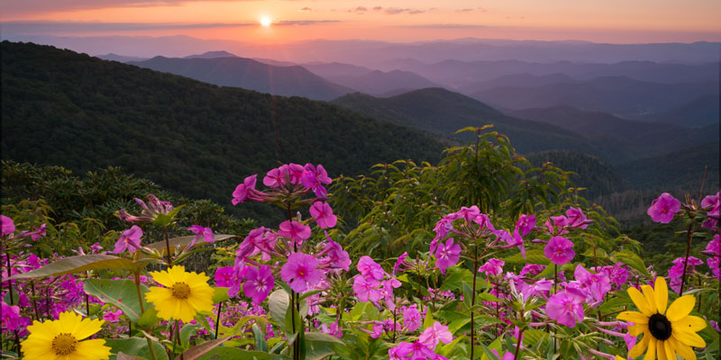 herbal conference in the Blue Ridge Mountains